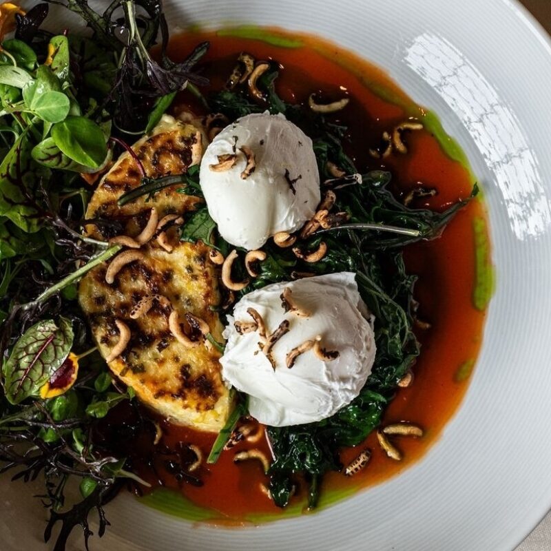 Poached Farm Eggs
