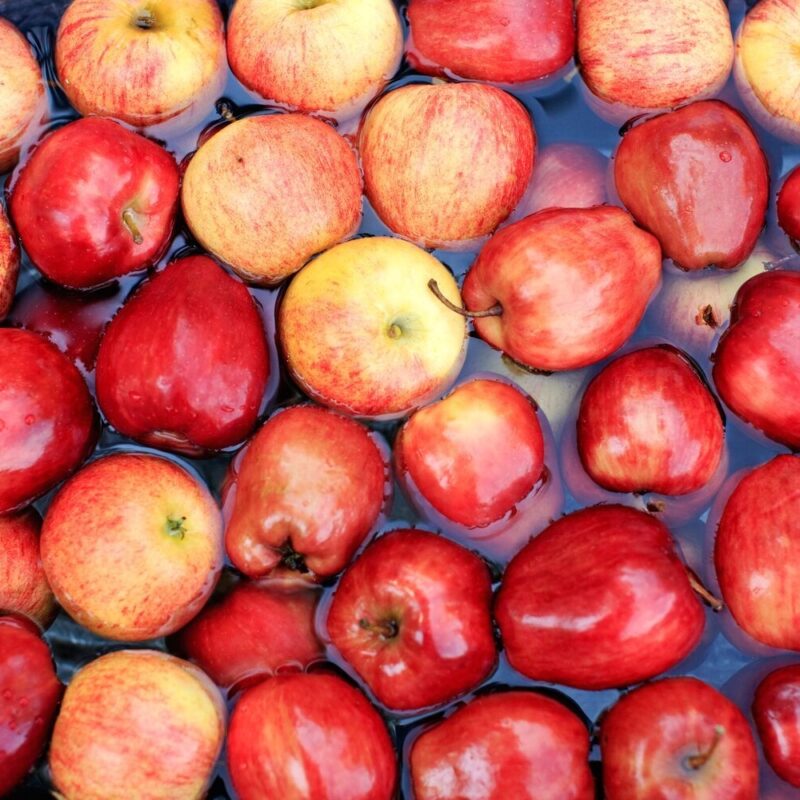 Hand Picked for the Season