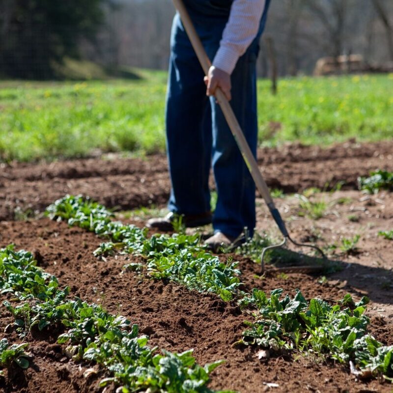 Honoring a Life Well Spent