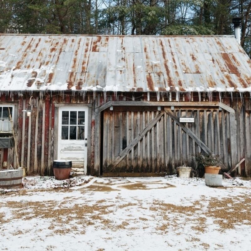 The Gardening Daydreams of the Winter Season