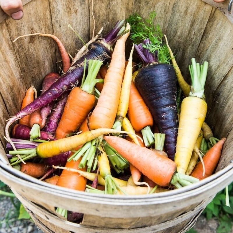 Garden-Inspired Favorites