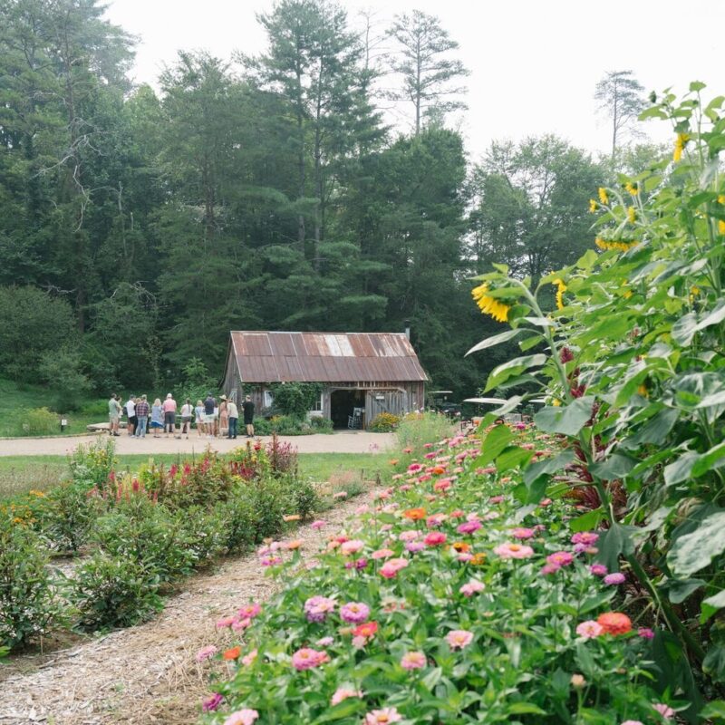 In the Know, Gardening Lingo