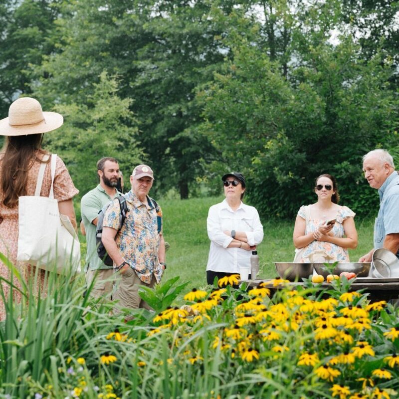 Looking Back: Connecting in the Garden