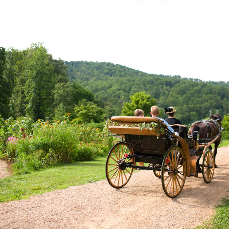 Saving the Land, Many Hoofprints at a Time