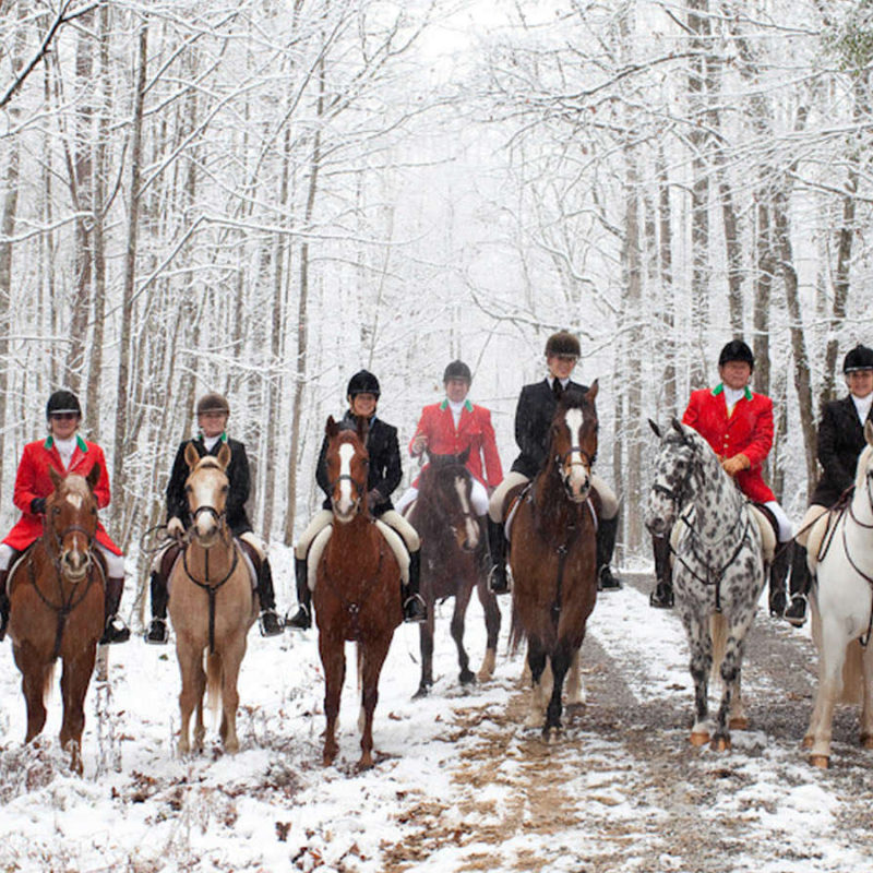 Challenge and Passion of the Hunt