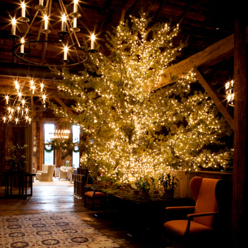 Top 10 with Chef Joseph Lenn for December