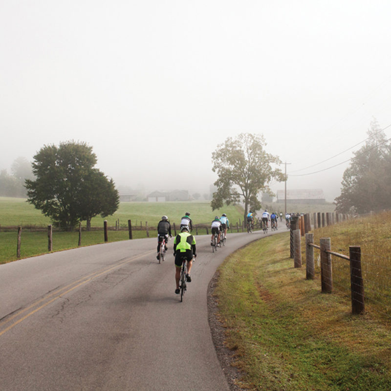 Making the Best You this Year