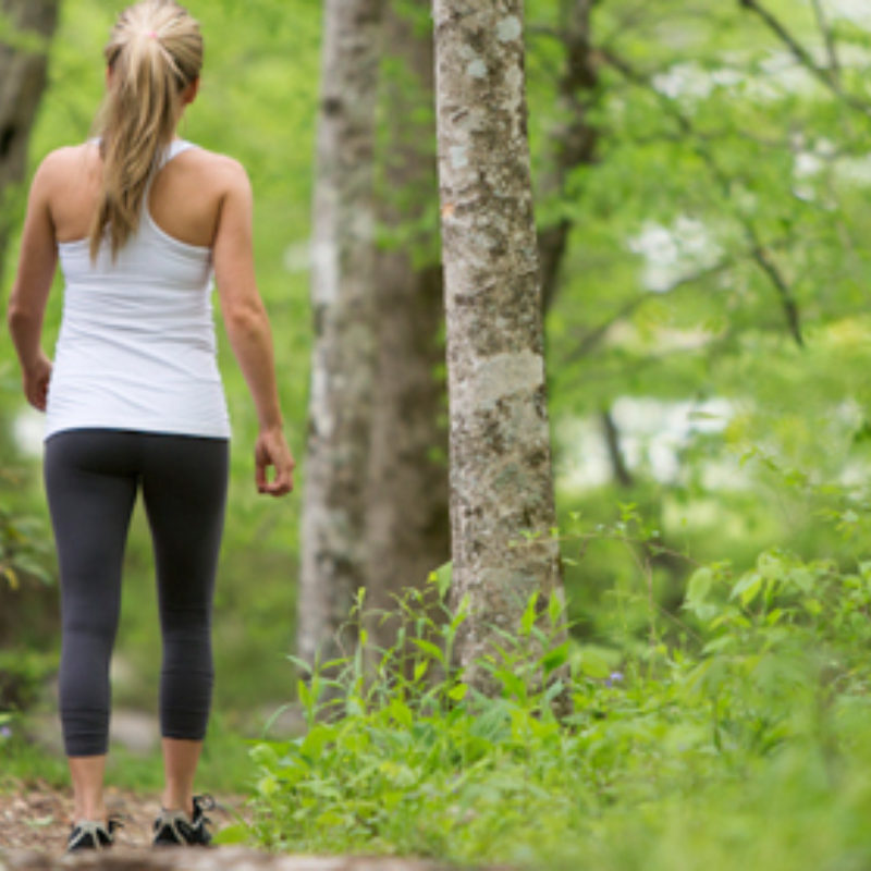 Deep Healing Woods Activities