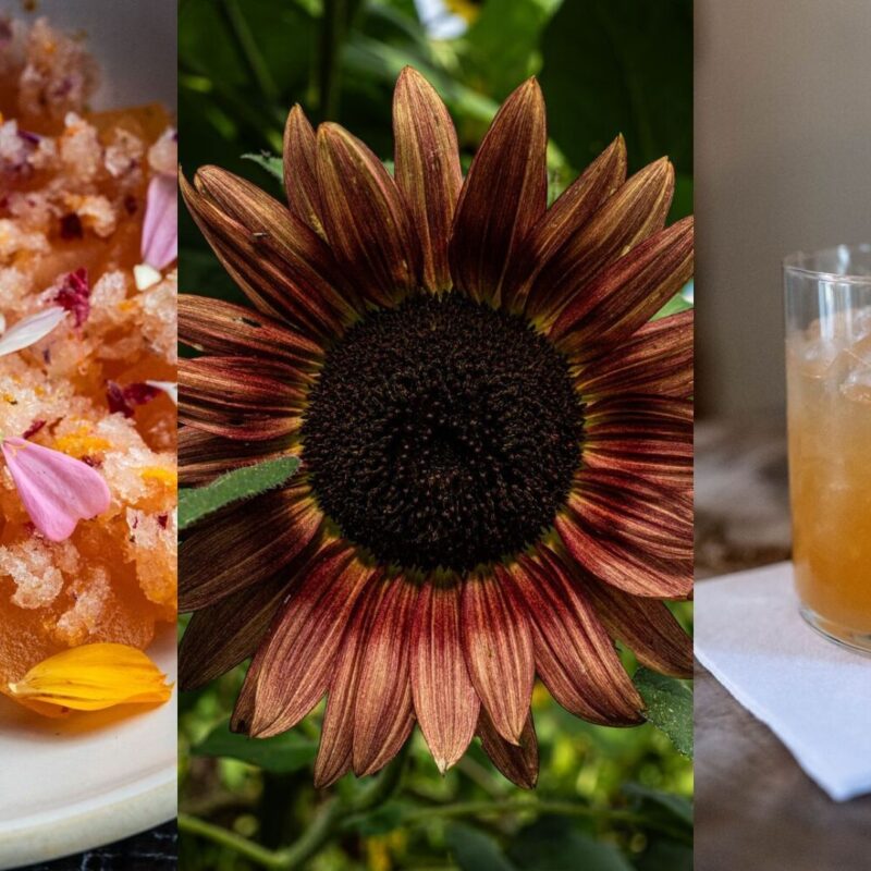 5 Edible Flowers with Unique Uses