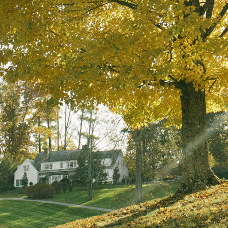 Coming Into Fruition