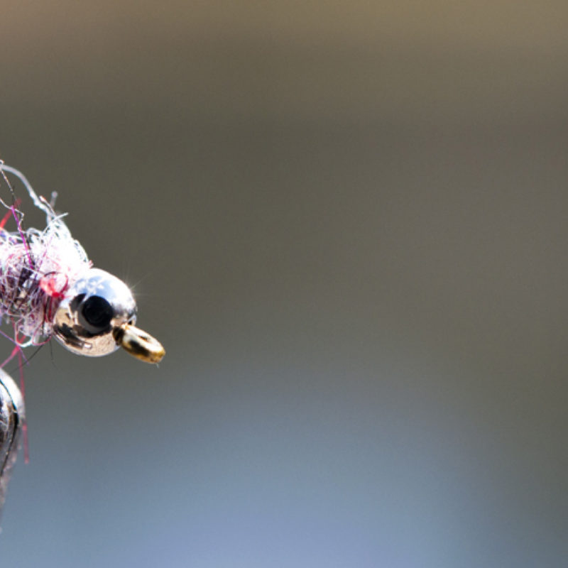 Planning for a New Year