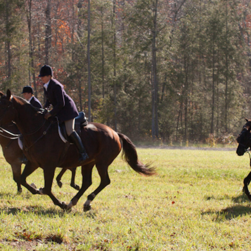 Riding to Hounds