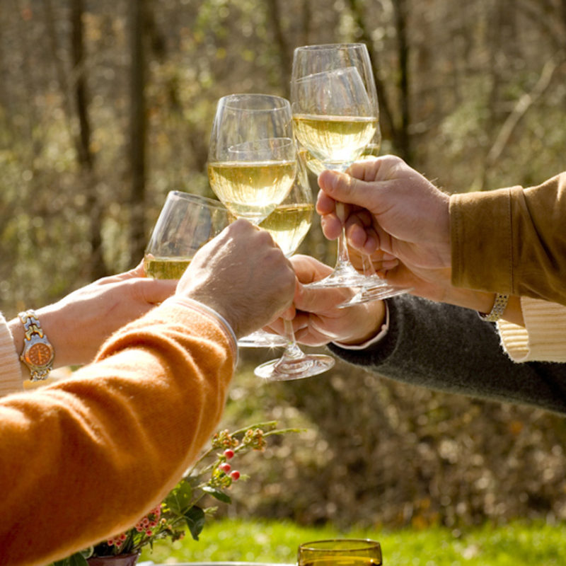 Drinking good wine with Friends