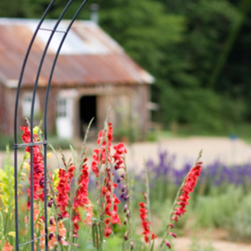 The Heritage Garden for 2017