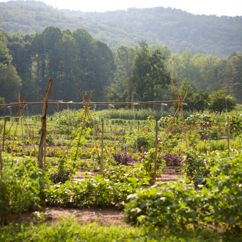 The Last Shall Be First