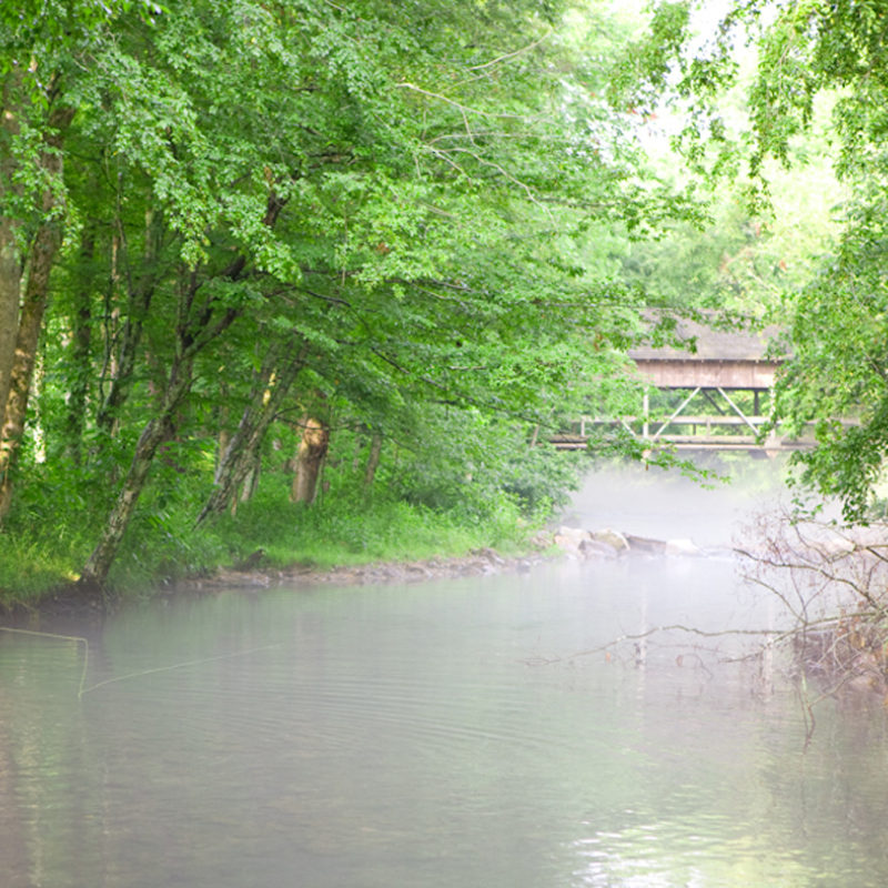 East and West on Hesse Creek...It's all Good at the Farm