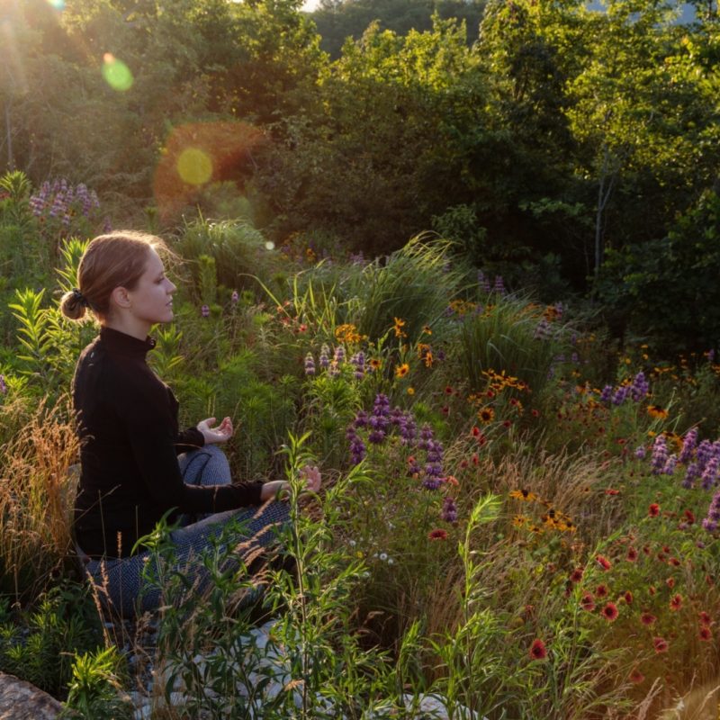 Why You Should Try Meditating Outside