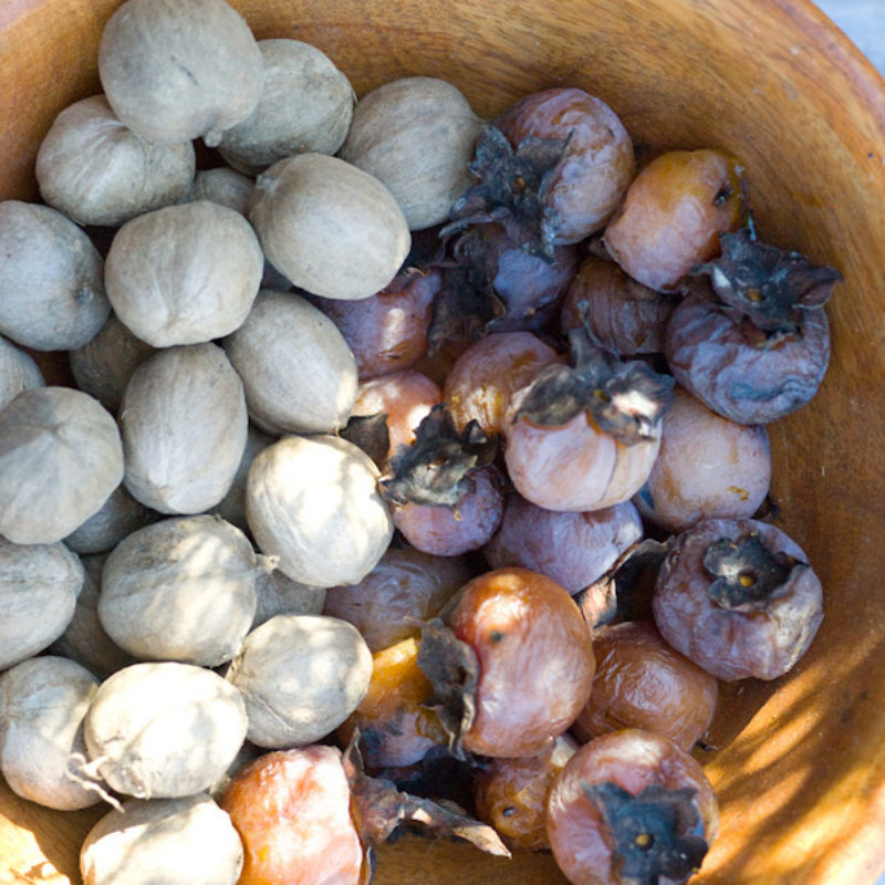 The leaves, they are changing!