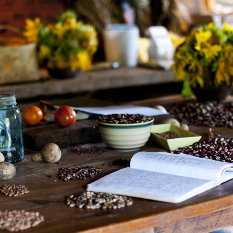 Searching for the Past