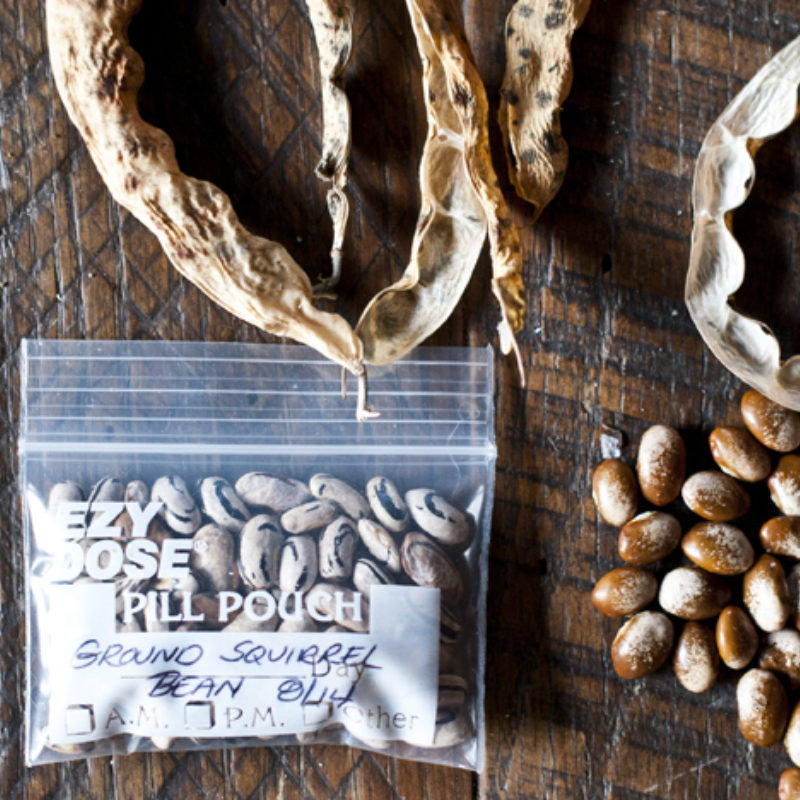 Seed Time at Blackberry Farm