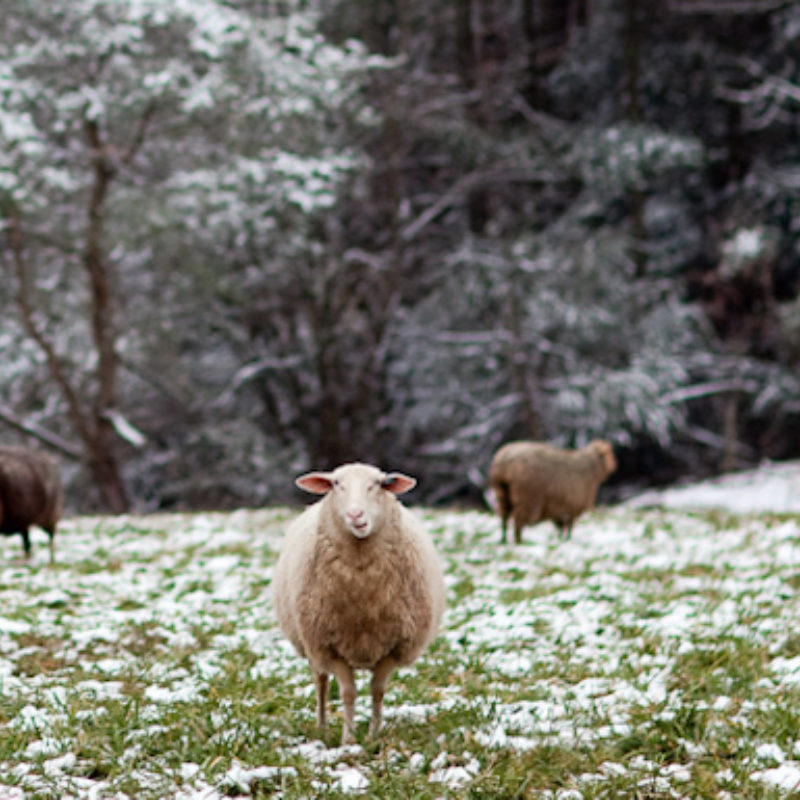 What we Love about February