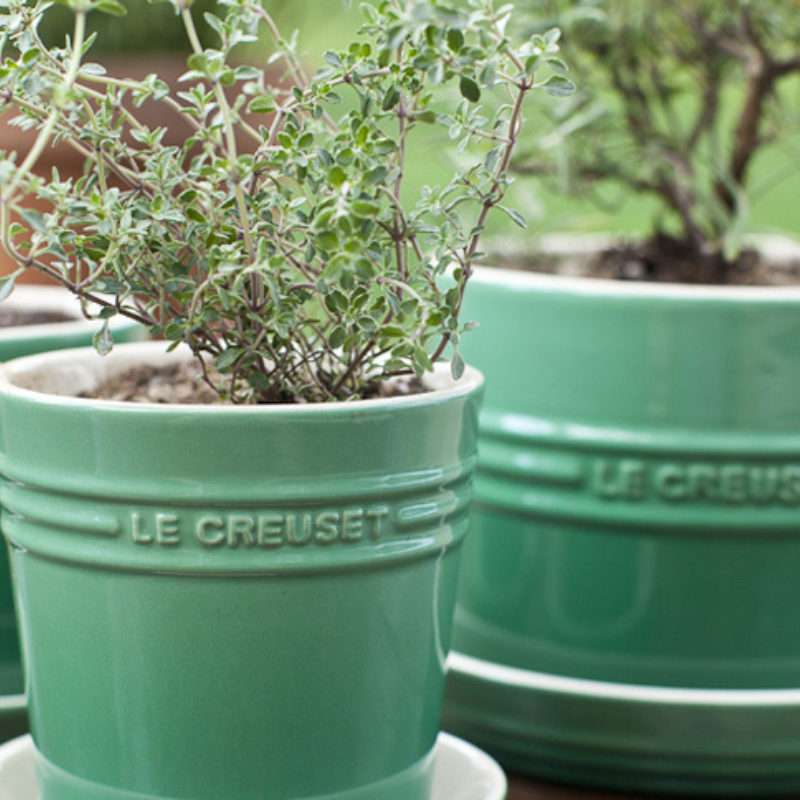 Forty Inches and a Mule