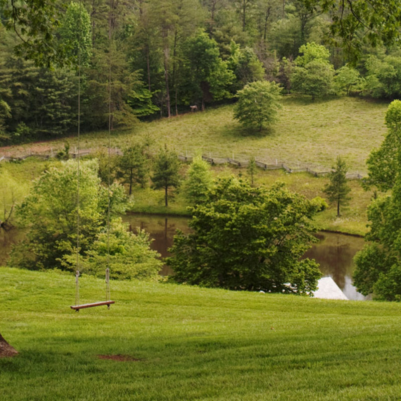 Blackberry Bucket List for May