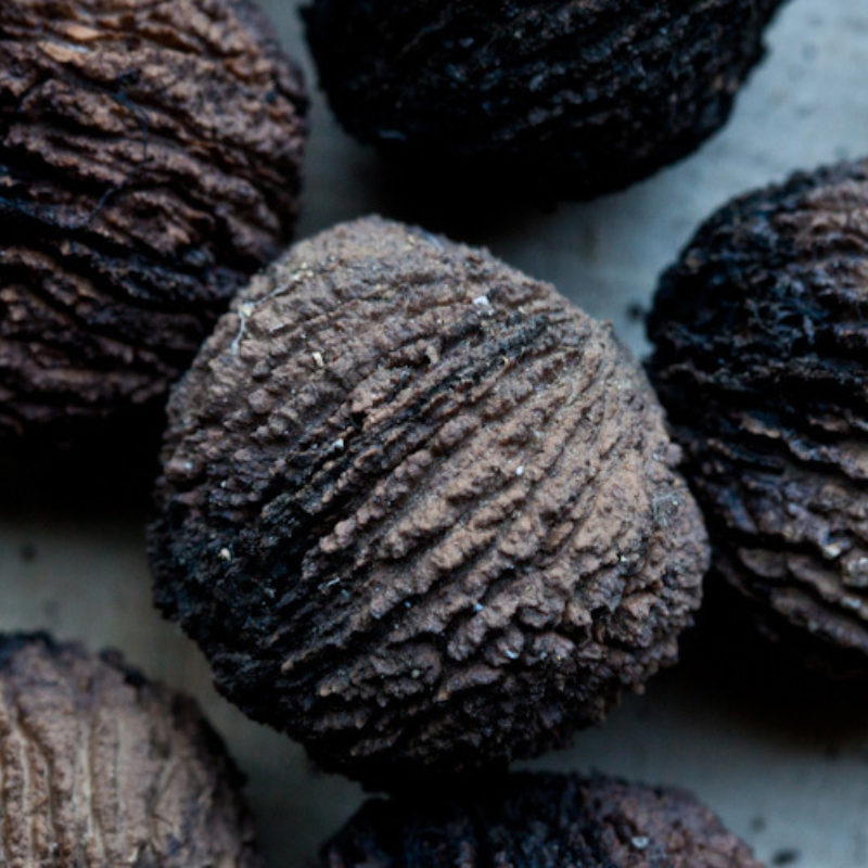Black Walnuts
