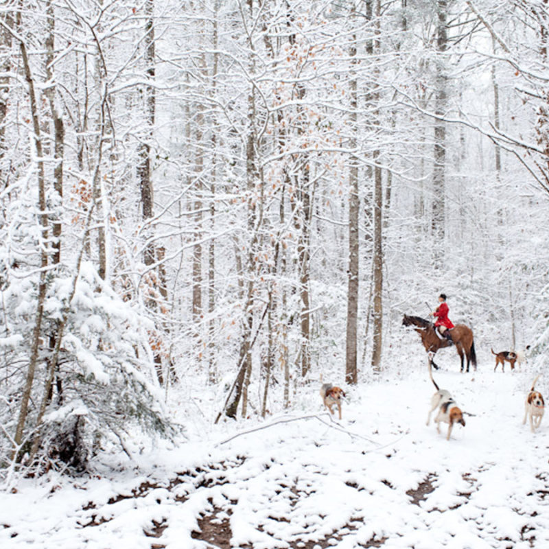 Bundle Up and Ride and Let it Snow