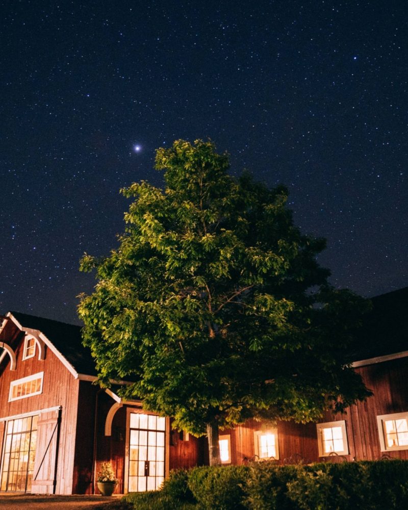 Discover Summer Constellations