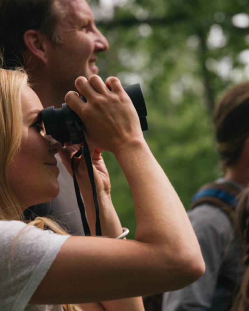 Birdwatching Through the Seasons