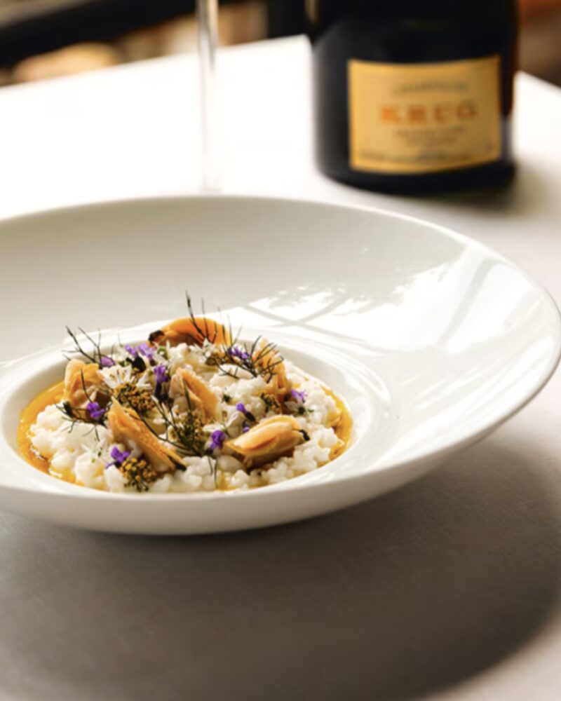 The Evolution of a Dish