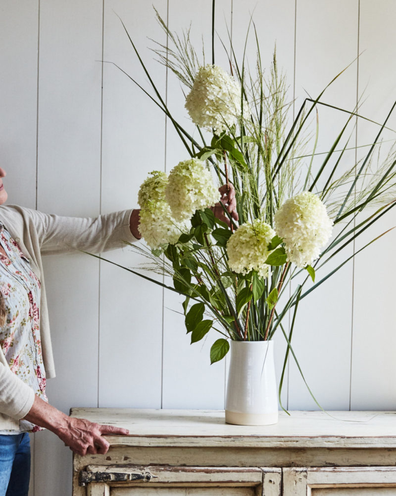 Meet the Mountain Team: Elizabeth Daniels