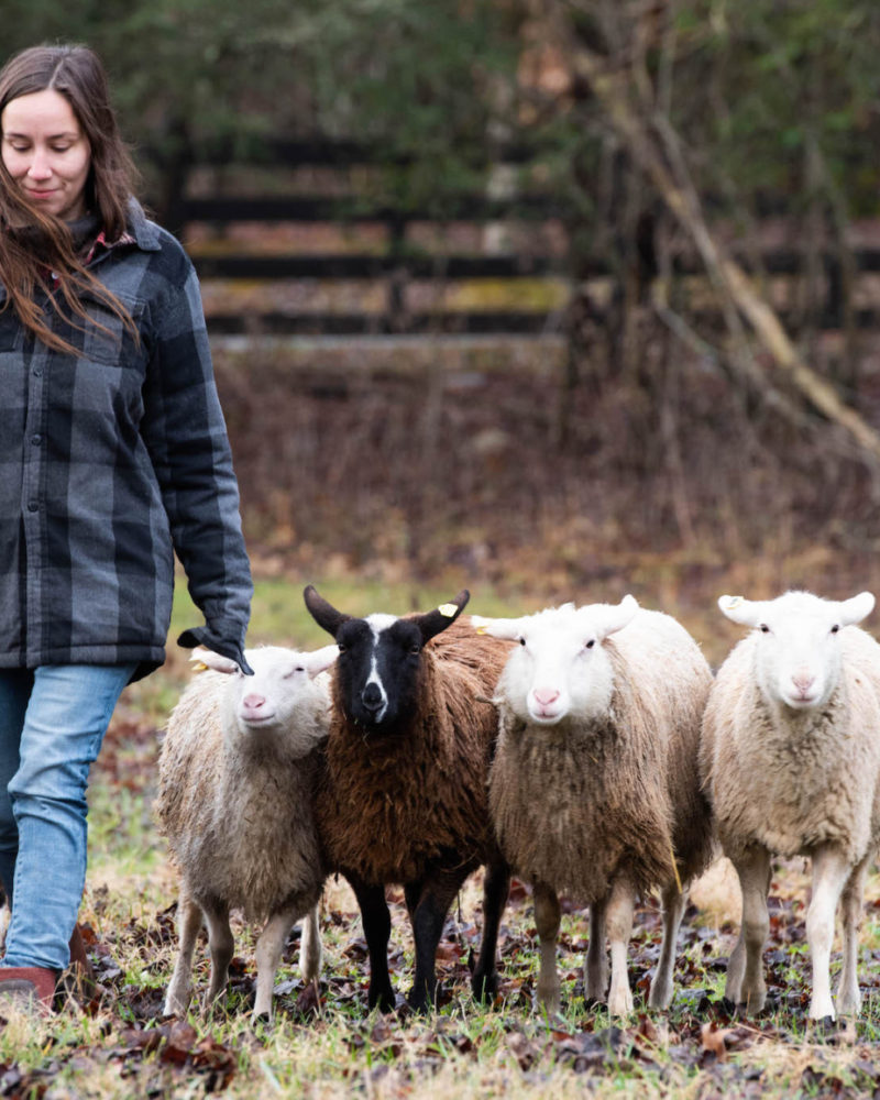 Check in With the Herd