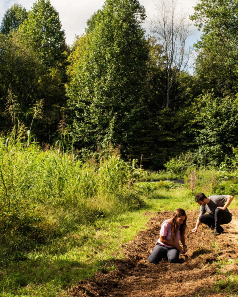 Preparing for the Growing Season Ahead
