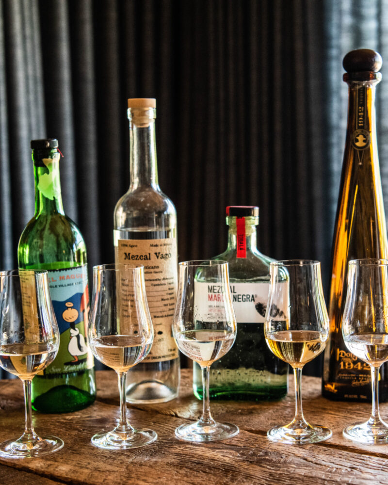 A Taste of Tequila and Mezcal