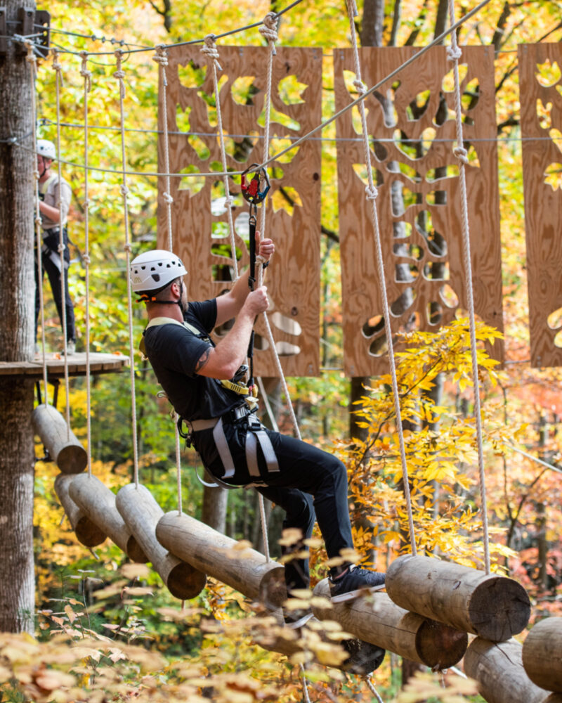Inside Arbor Adventure