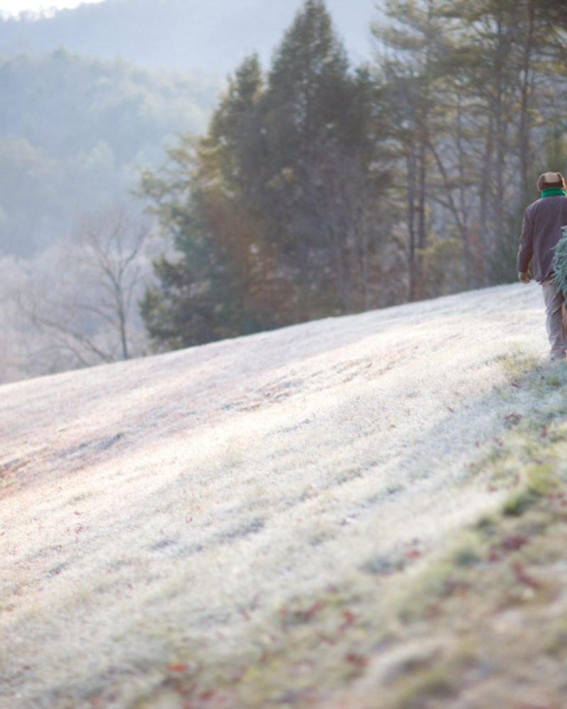 December Bucket List