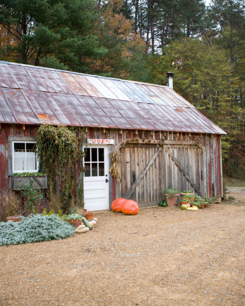 First Frost, First Fire