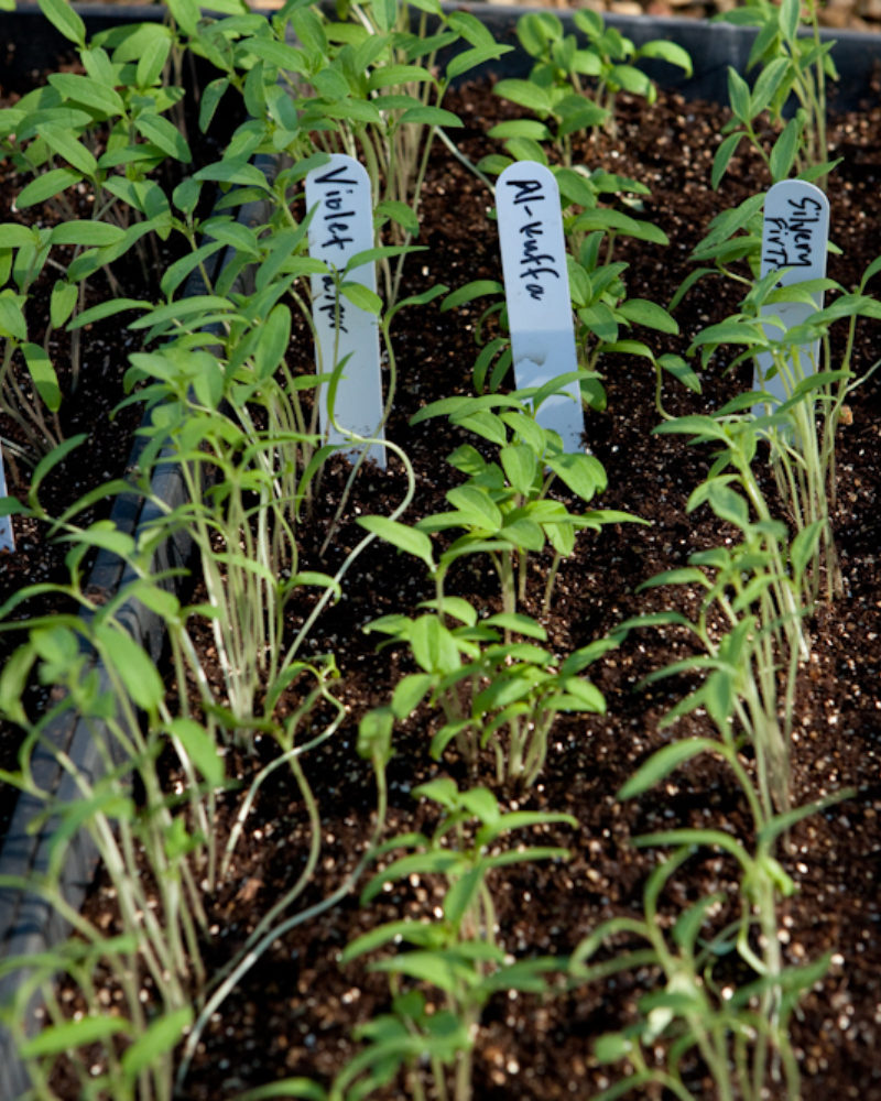 Here is what we would do for March