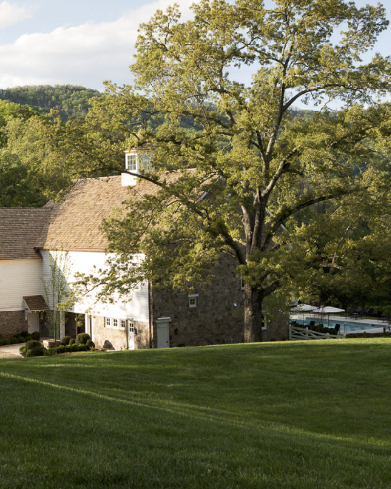 Celebrating Earth Day at The Wellhouse