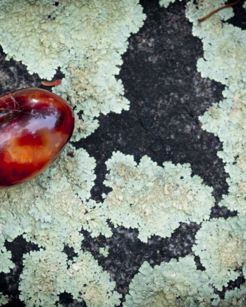 Quick Crystal: Carnelian