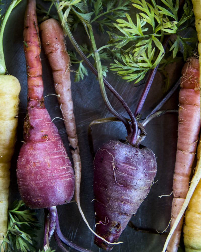 Winter Storage - Carrots and Parsley