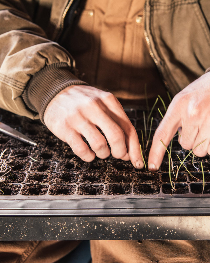 The Birth of a New Season