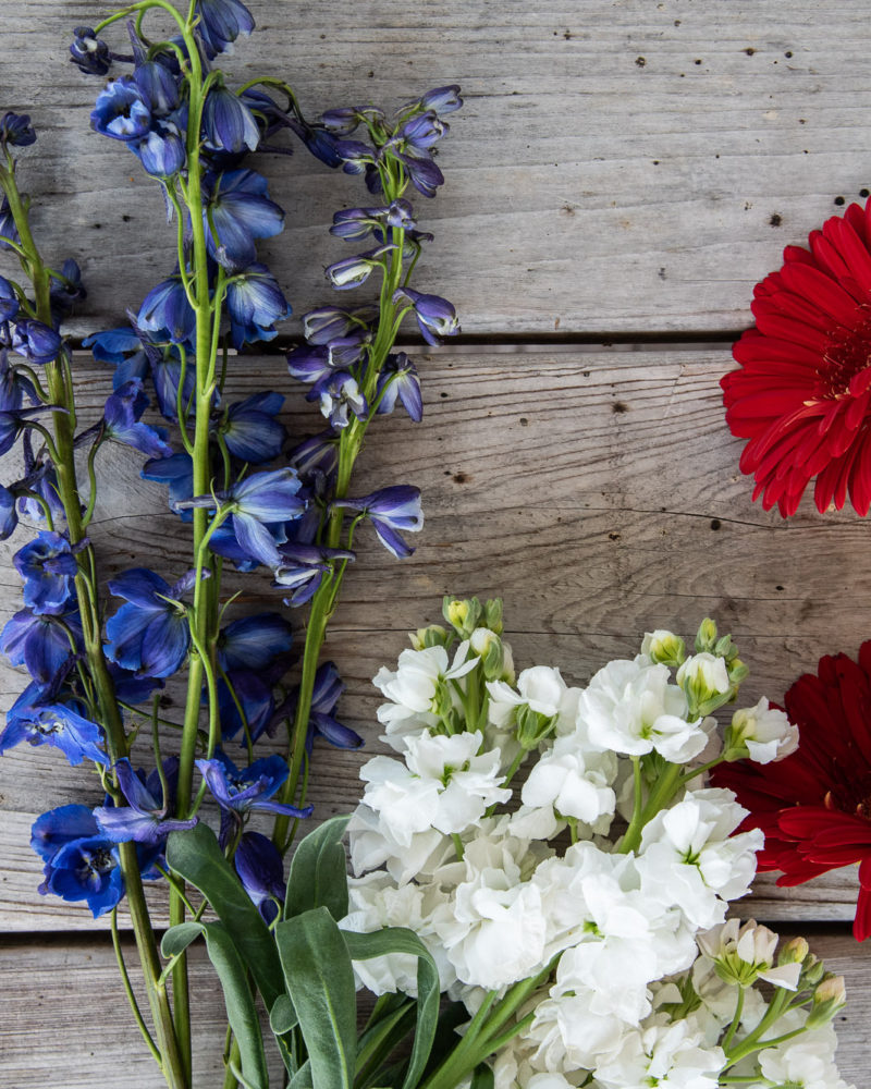 Flowers for the Fourth