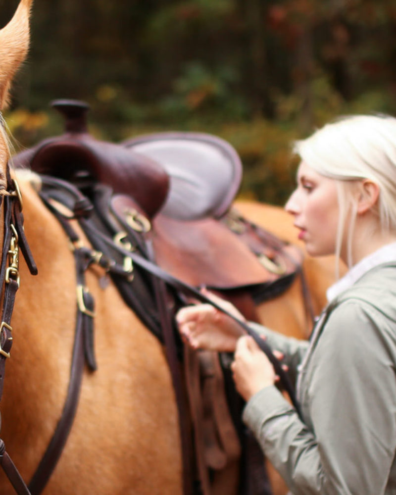 Natural Horsemanship at the Farm