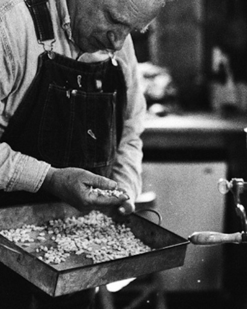 January in the Garden