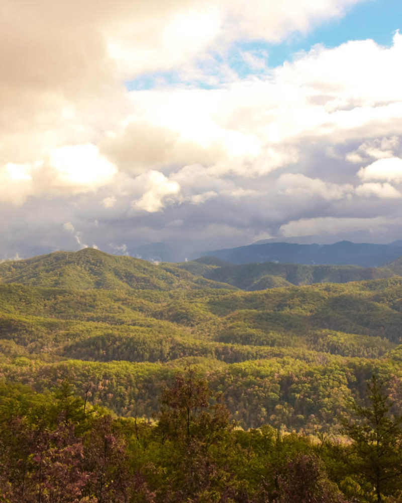 From Conservation to Connection