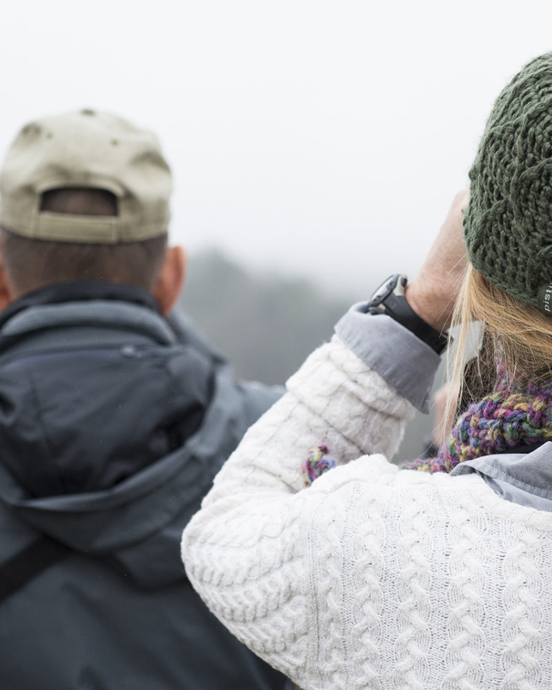 Winter Birding in Cades Cove