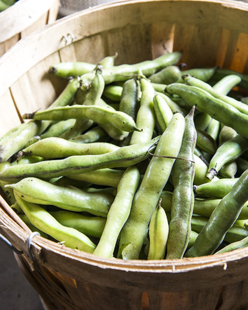 Stove Pipe Peas and the Grove Pepper